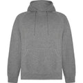 Sweat à capuche gris